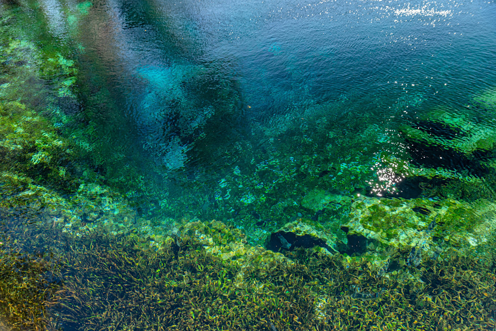 Silver Springs View Photography Art | kramkranphoto