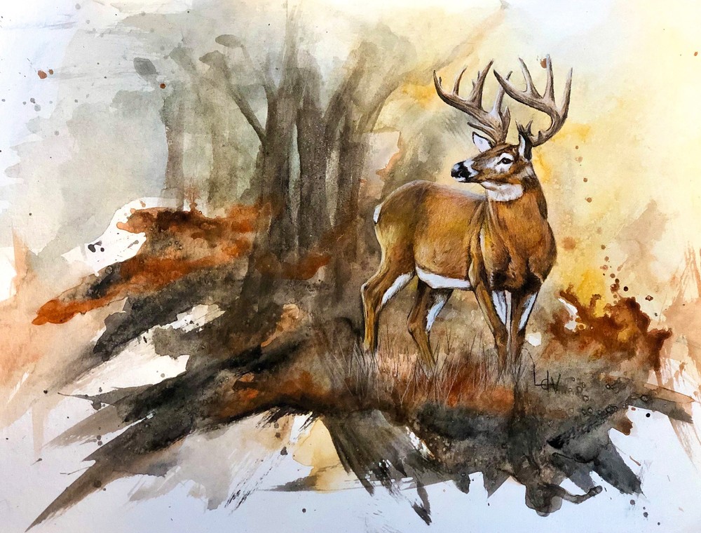 Watercolor whitetail deer art