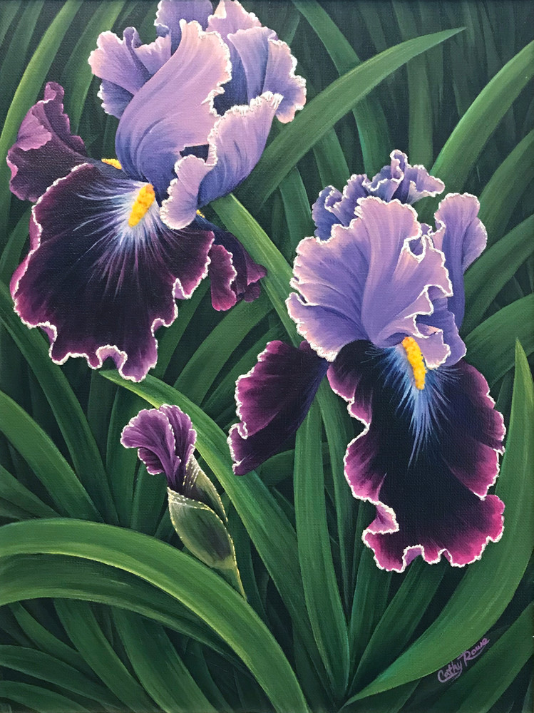 Iris Duet