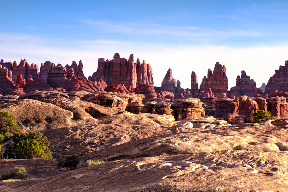 In  Canyonlands National Parks, the formation know as the needles stretch into the blue sky - fine art photography print