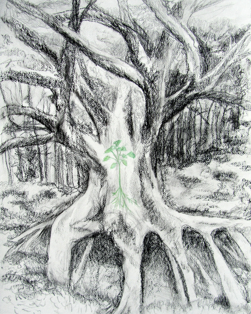 Family Tree Art | Jenni White Art