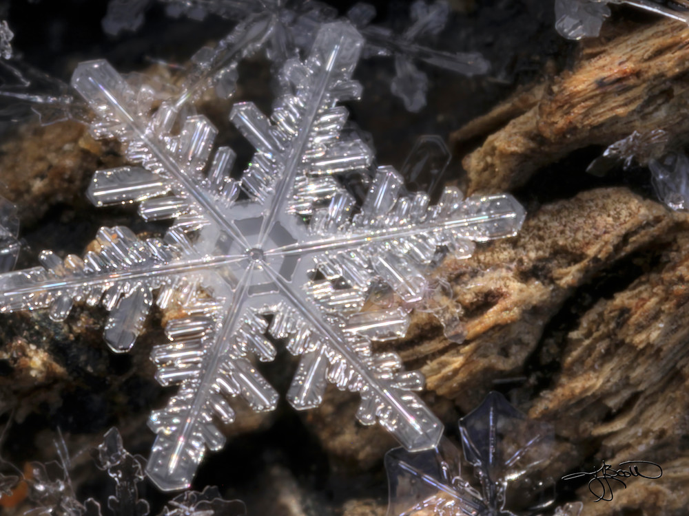 Snowflake On Rough Wood