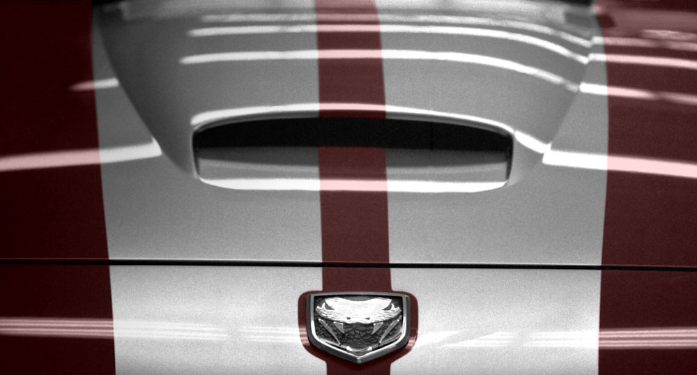 Viper In Silver And Red Photography Art | Gatesman Photography