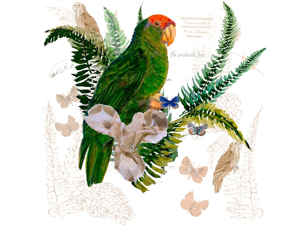 Parrot Without Pesticides Art | Ruthie Briggs Greenberg
