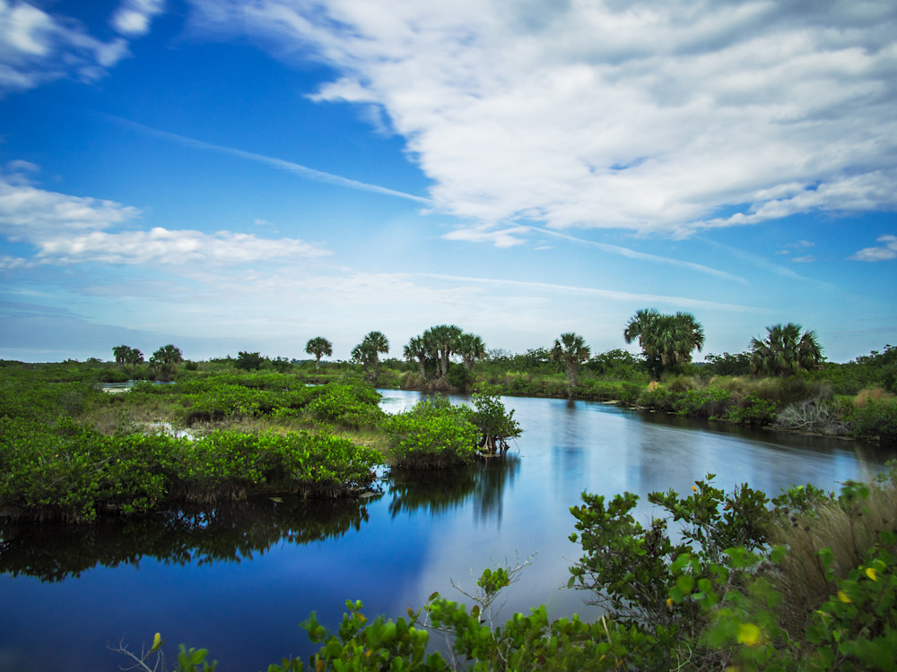 Merritt Island Swamps and Blue Skies - Florida Landscape - Fine Art Photography Prints