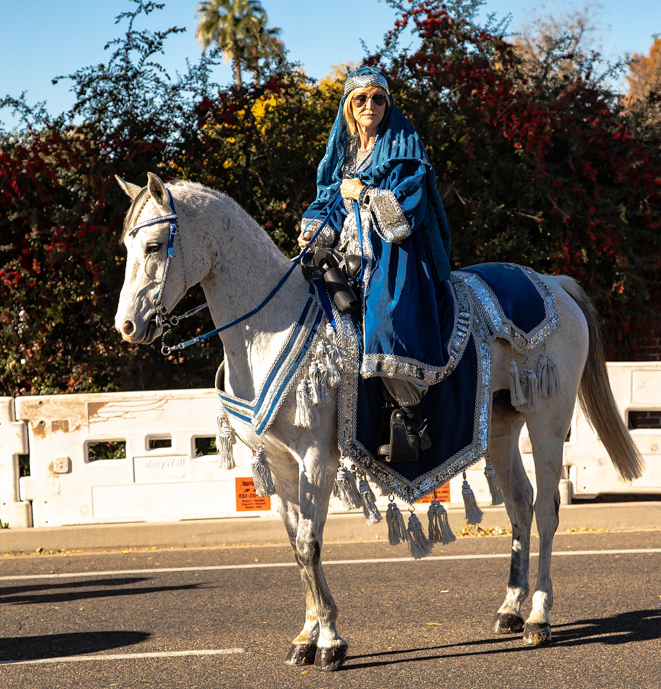 Arabian Horse at Fiesta Bowl Parade