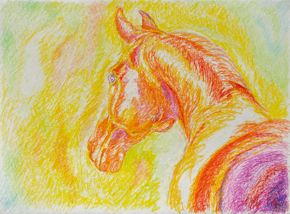 Horse Portrait   It's A New Day Art | Red Horse Creative Llc