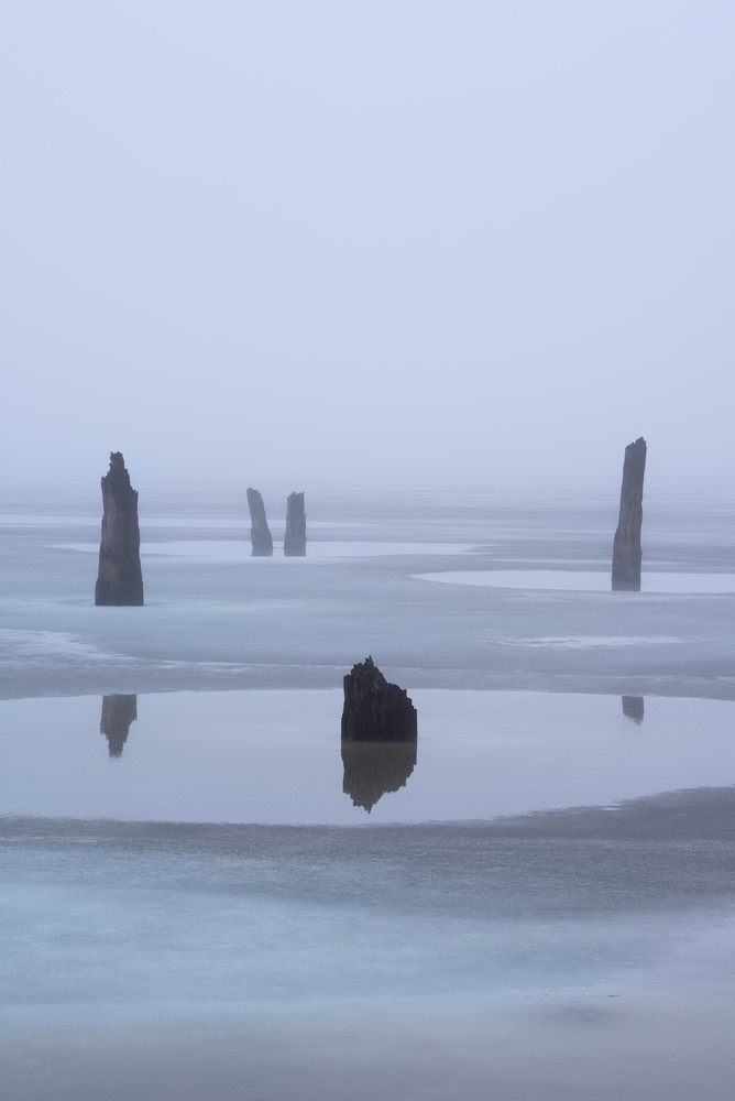 Winter Fog Tree Stump Reflections (Portrait)