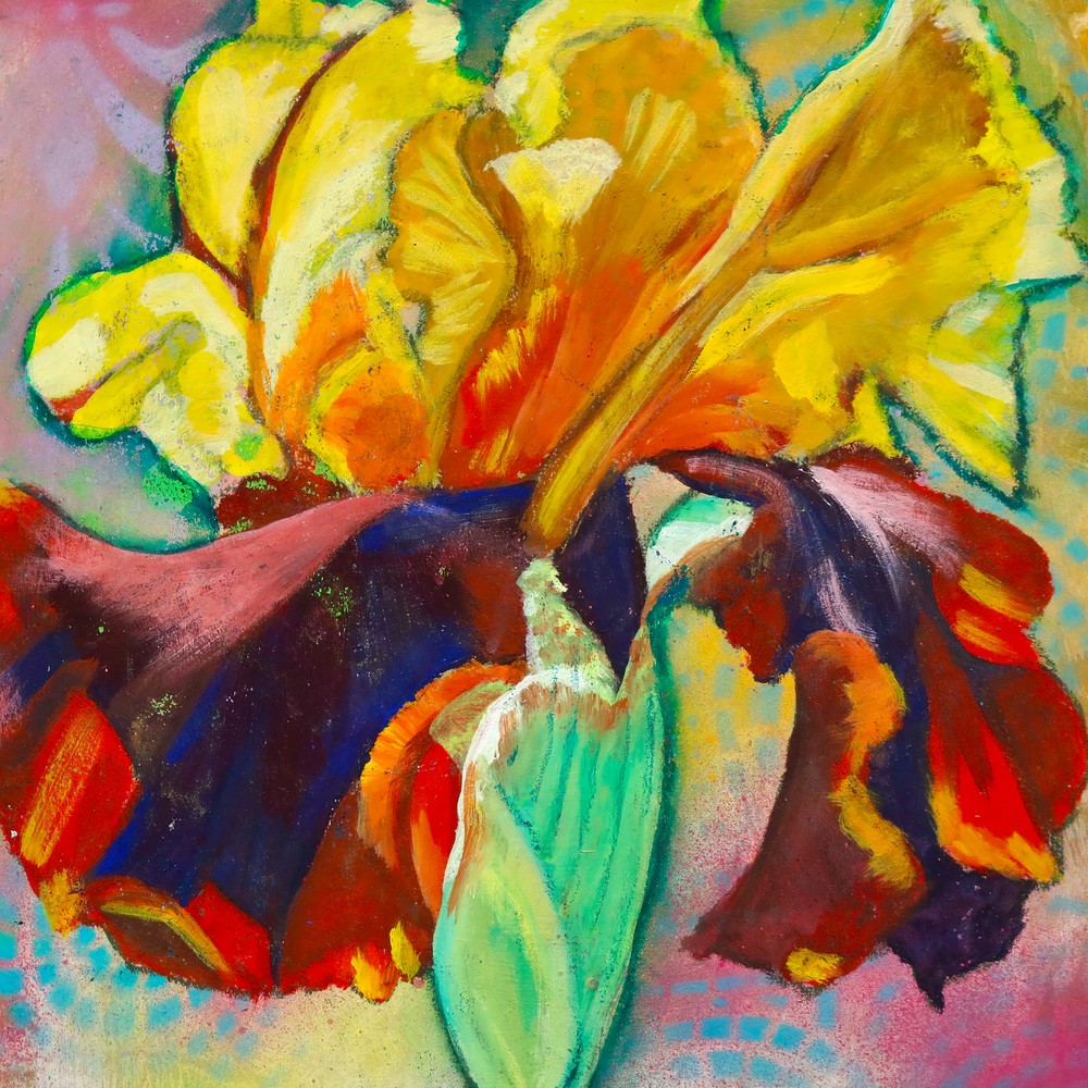 Yellow Iris Art | Art by Melanie Anderson