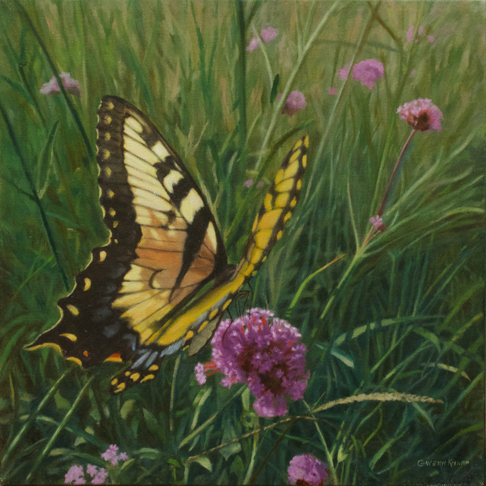 Swallowtail Feast Art | Gwenn Knapp Artist