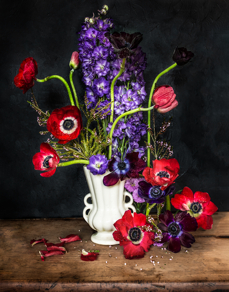 Red Anemone Photography Art | The Elliott Homestead, Inc.