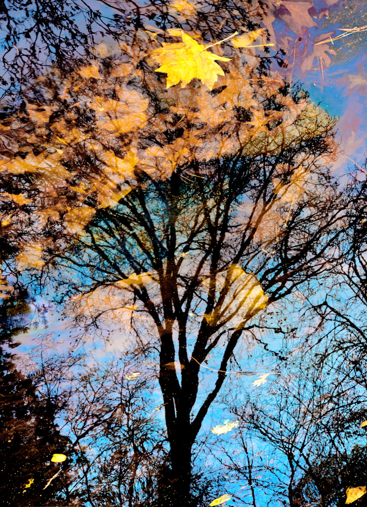 Escher Kind Of Day Photography Art | Jerry Downs