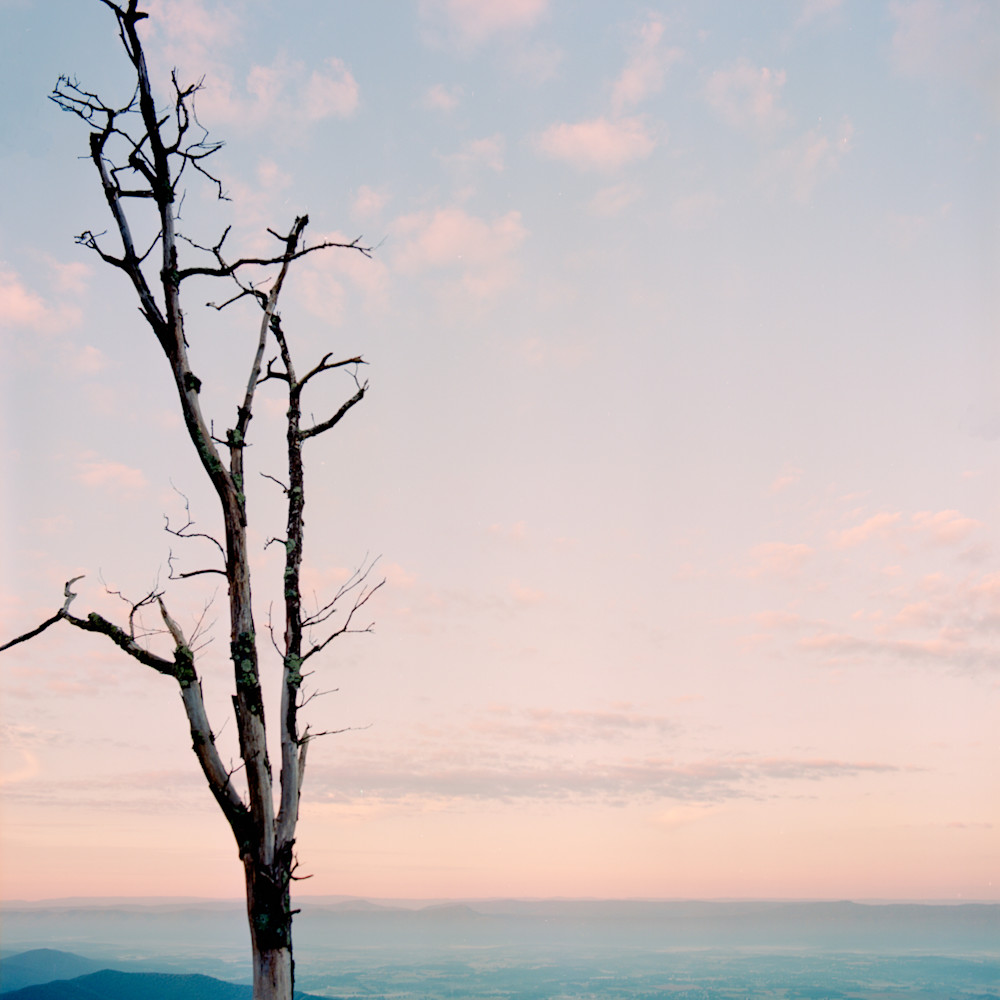 The late Autumn sun sets in Shenandoah National Park, Virginia - Shot on Film - Fine Art Photography Print
