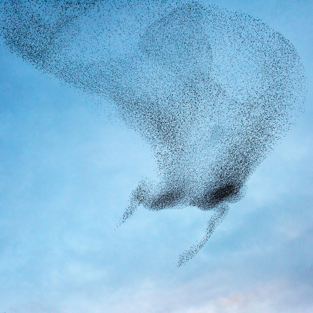 Landing Photography Art | Jerry Downs