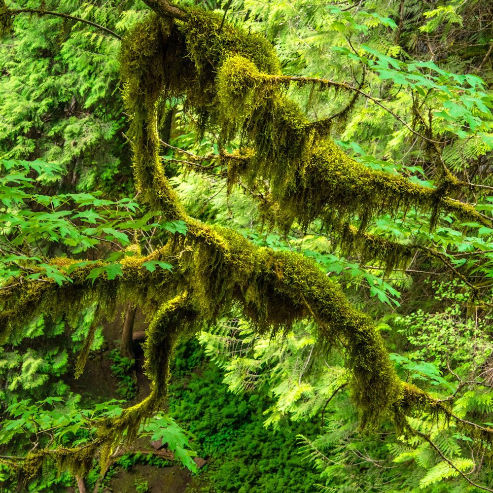 Summer Home Photography Art | Jerry Downs