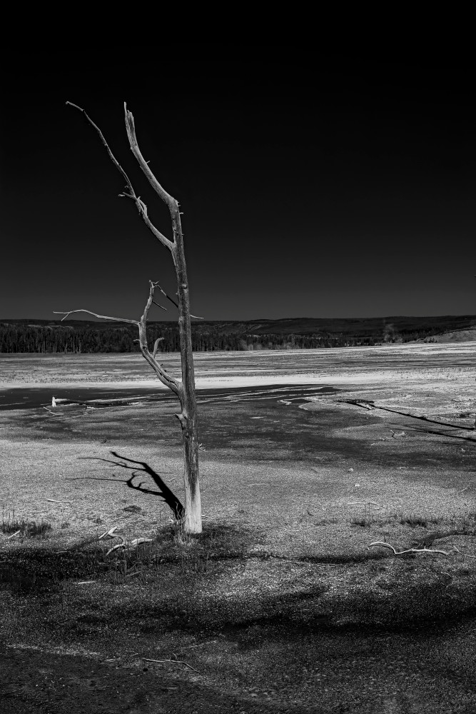 Yellowstone National Park