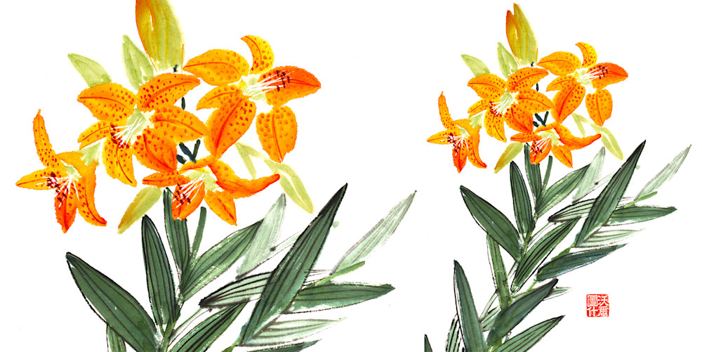 Tiger Lily for Mugs