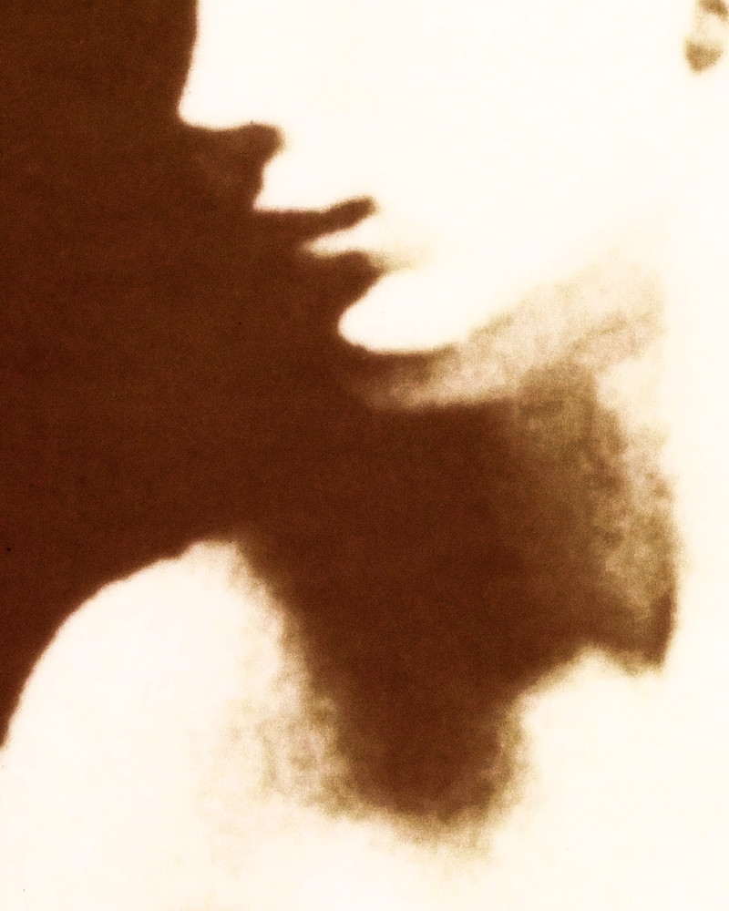 Profile with Shoulder and Shadow