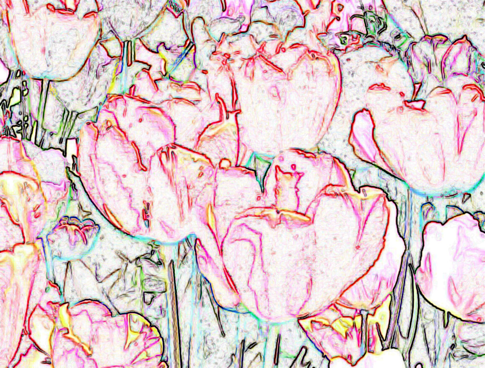 Edges Of Tulips Art | Studio Artistica