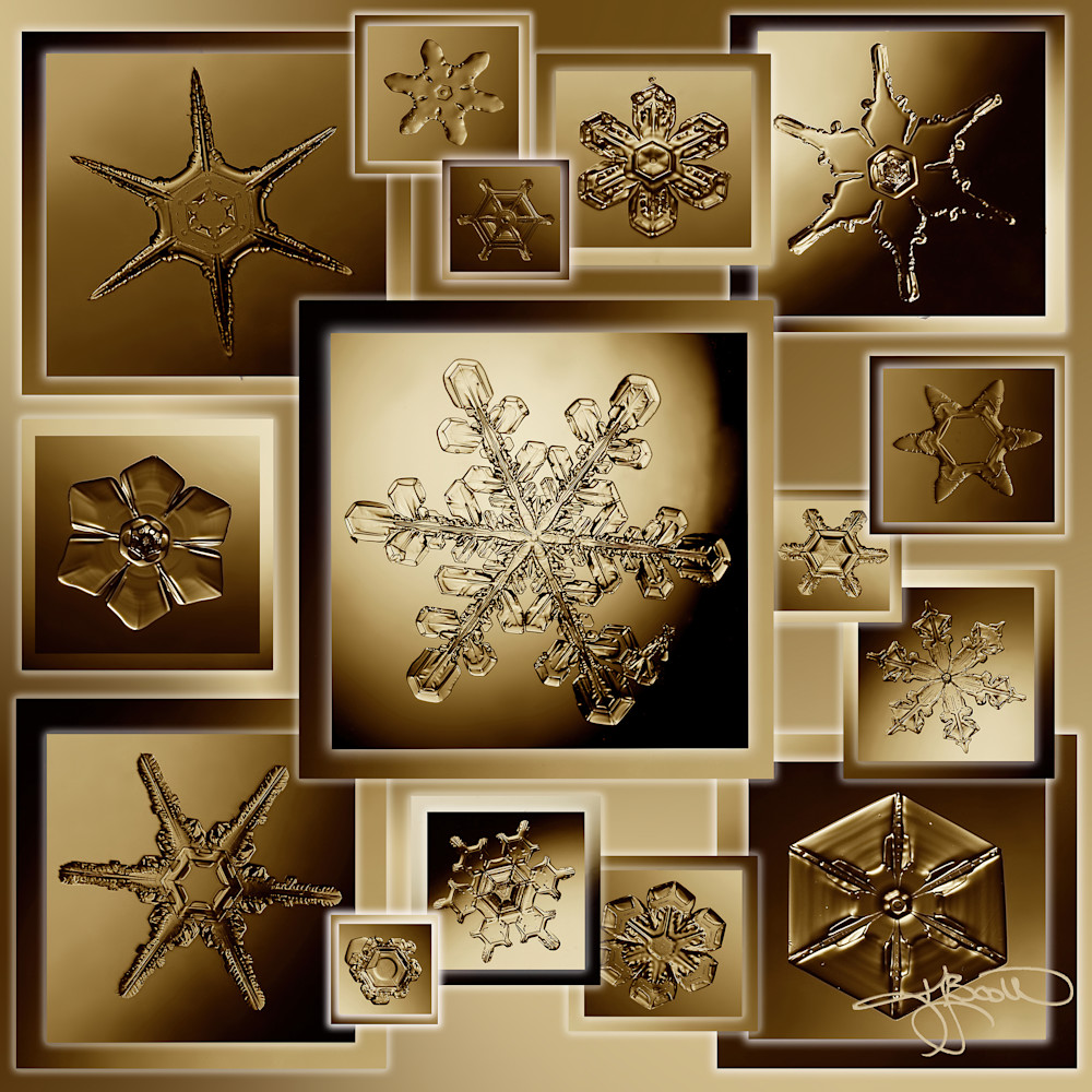 Snowflake Collage Sepia Photography Art | Real Snowflake Photography LLC