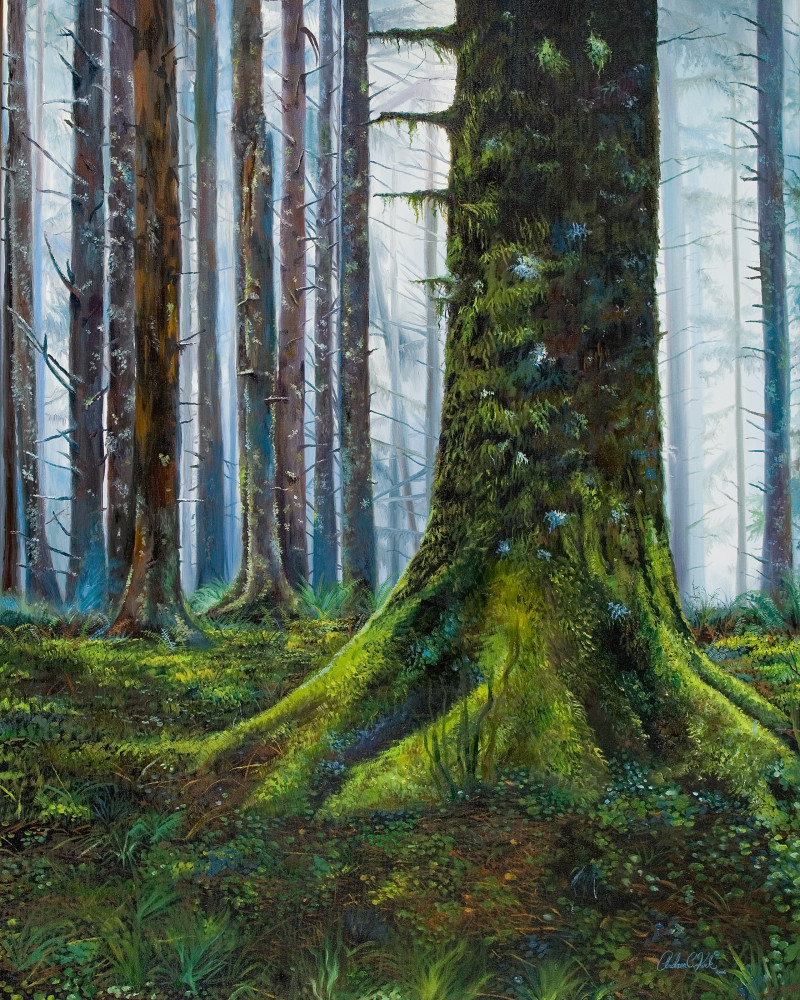 Mystical Forest Art | Andrea Kirk Fine Art.Shop