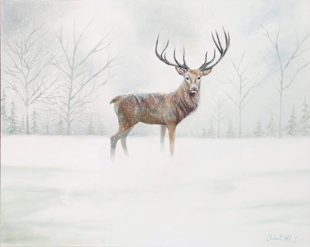Winter Buck Art | Andrea Kirk Fine Art.Shop