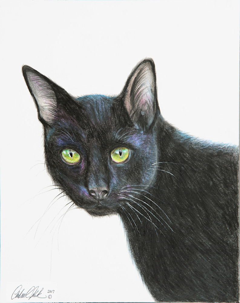 Black Cat Art | Andrea Kirk Fine Art.Shop