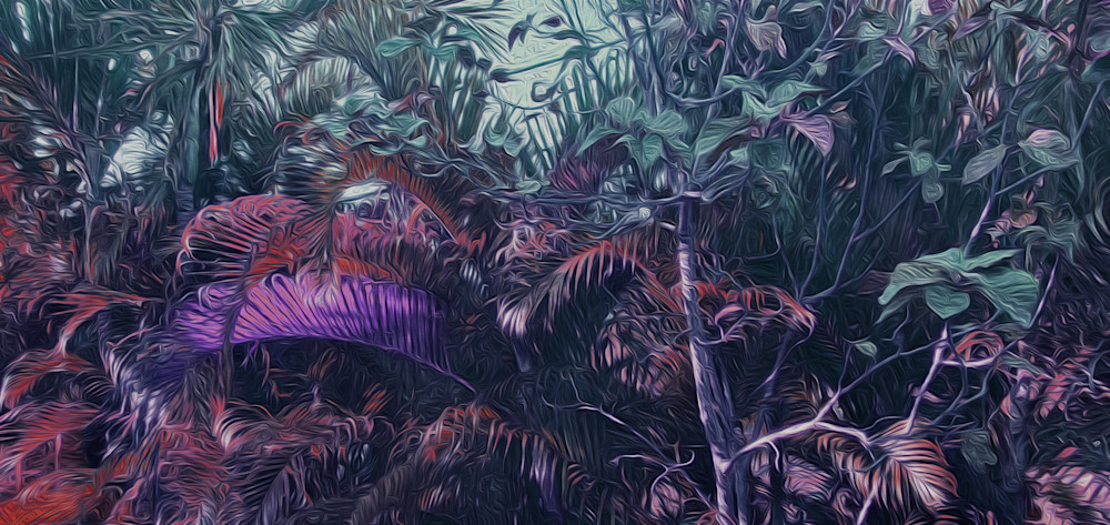 Tropical Landscape Art | Photos by Max Duckworth