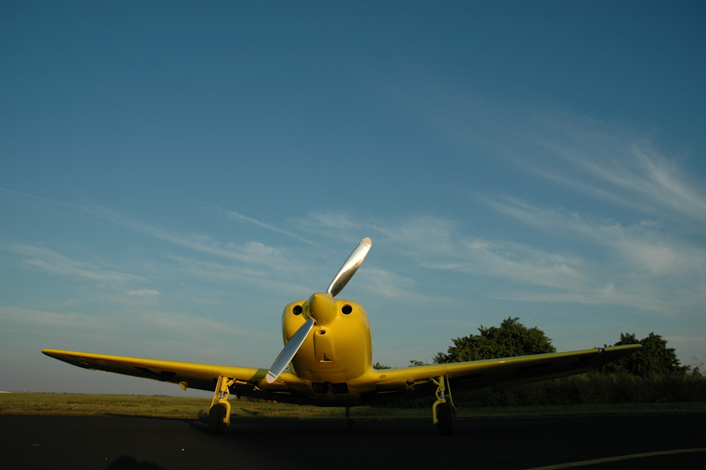 Lo Presti Fury   I Want To Fly! Art | LoPresti Art Gallery