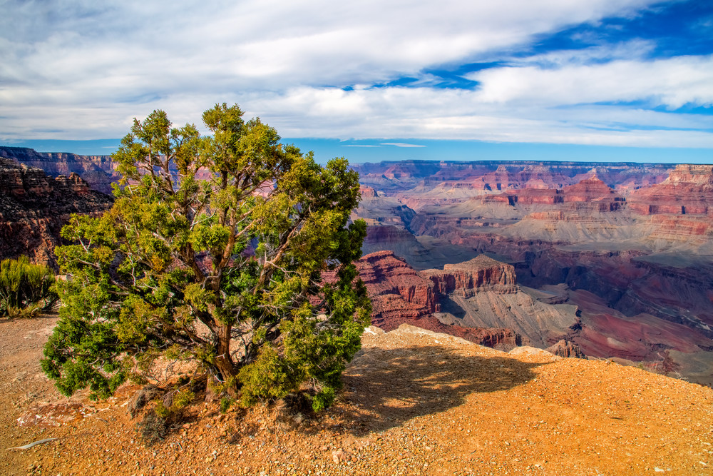 Standing on the South Rim — Grand Canyon fine-art photography prints