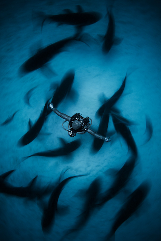 Shark Dancer Photography Art | Be Water Imaging