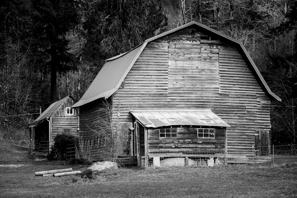 Old Barn, Lewis County, Washington, 2021
