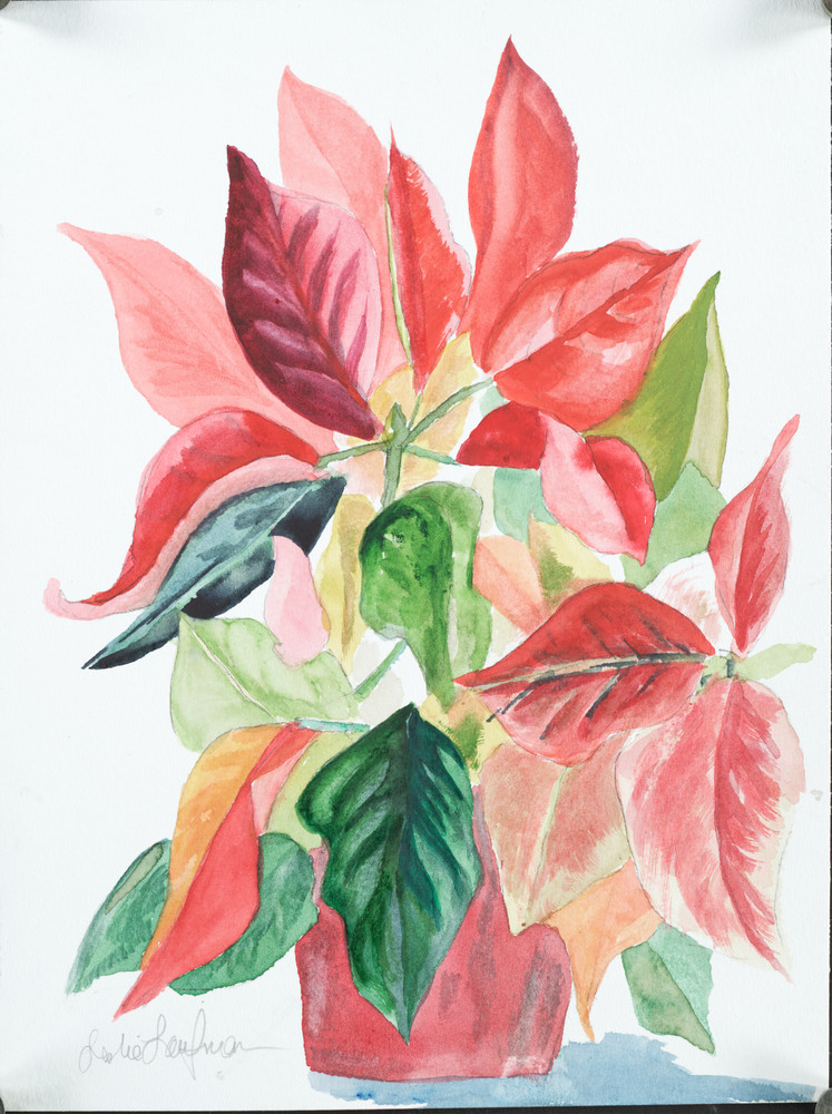 Poinsettia Navideña - Artistic Coloring Kit — Vanilla Arts Co.