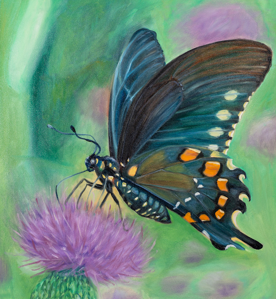 Butterfly I Art | WallSpeak Designs