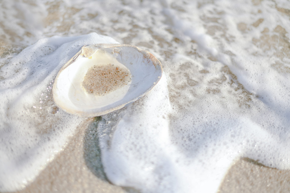 Clam Shell Surf Photography Art | Denise Barker Photography