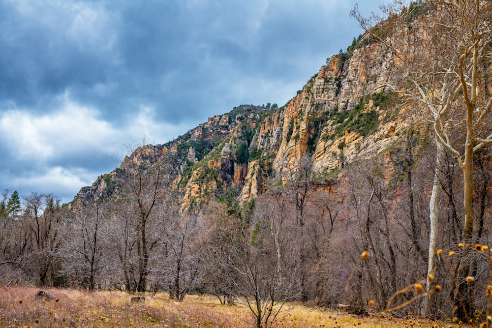 Oak Creek Canyon   West Fork Trail 3 Photography Art | Susie Rivers Photography