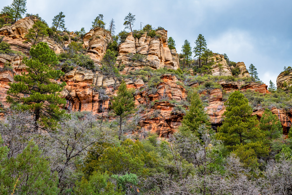 Oak Creek Canyon   West Fork Trail Photography Art | Susie Rivers Photography