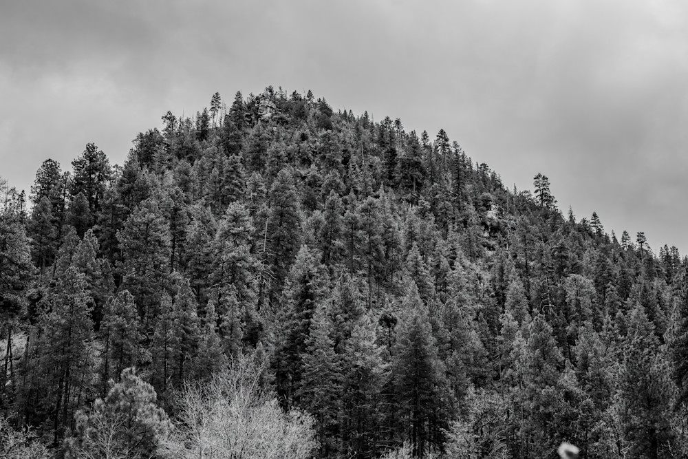 Oak Creek Canyon In Black And White Photography Art | Susie Rivers Photography