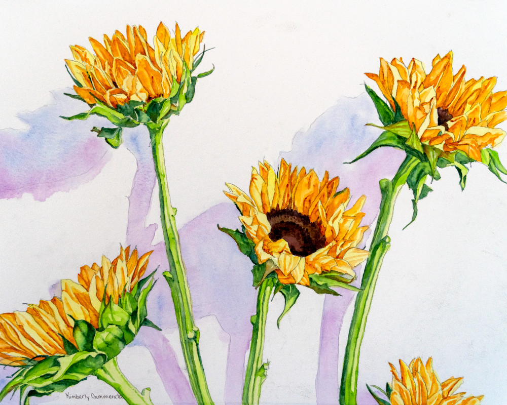 Girasoli Su Sfondo Bianco Art | Kimberly Cammerata - Watercolors of the Sun: Paintings of Italy
