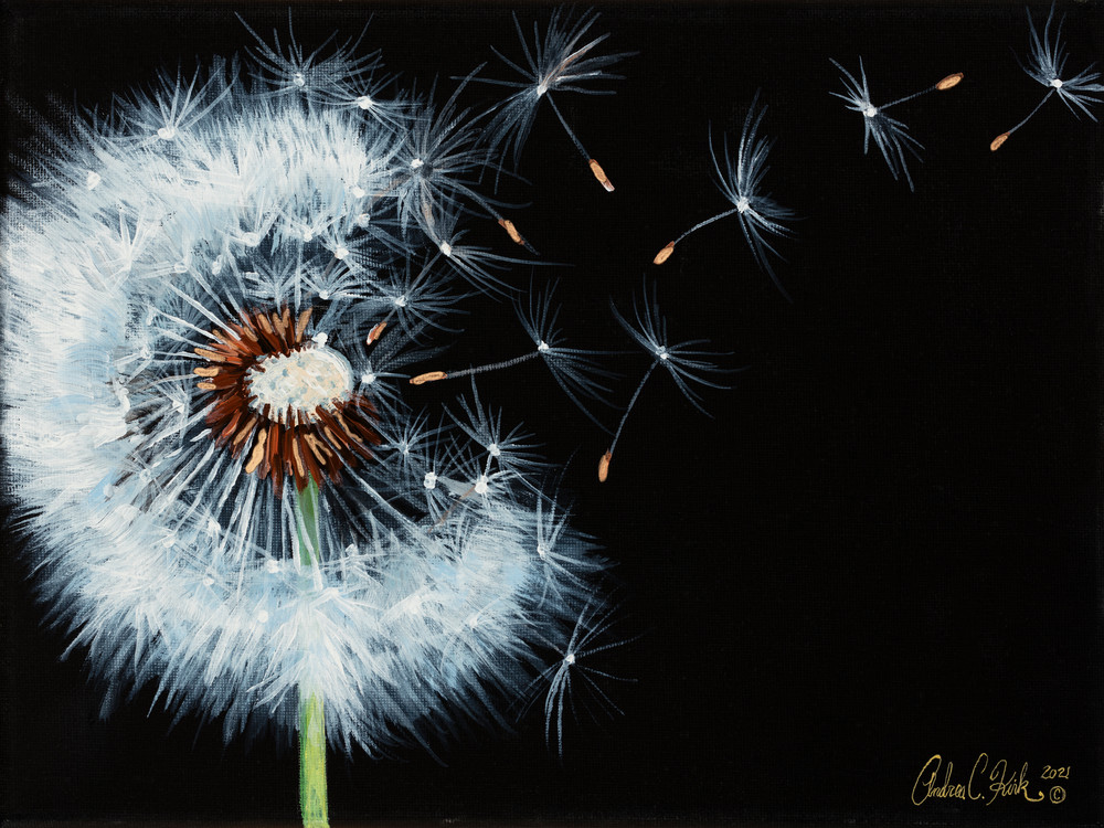 Dainty Dandelion Art | Andrea Kirk Fine Art.Shop