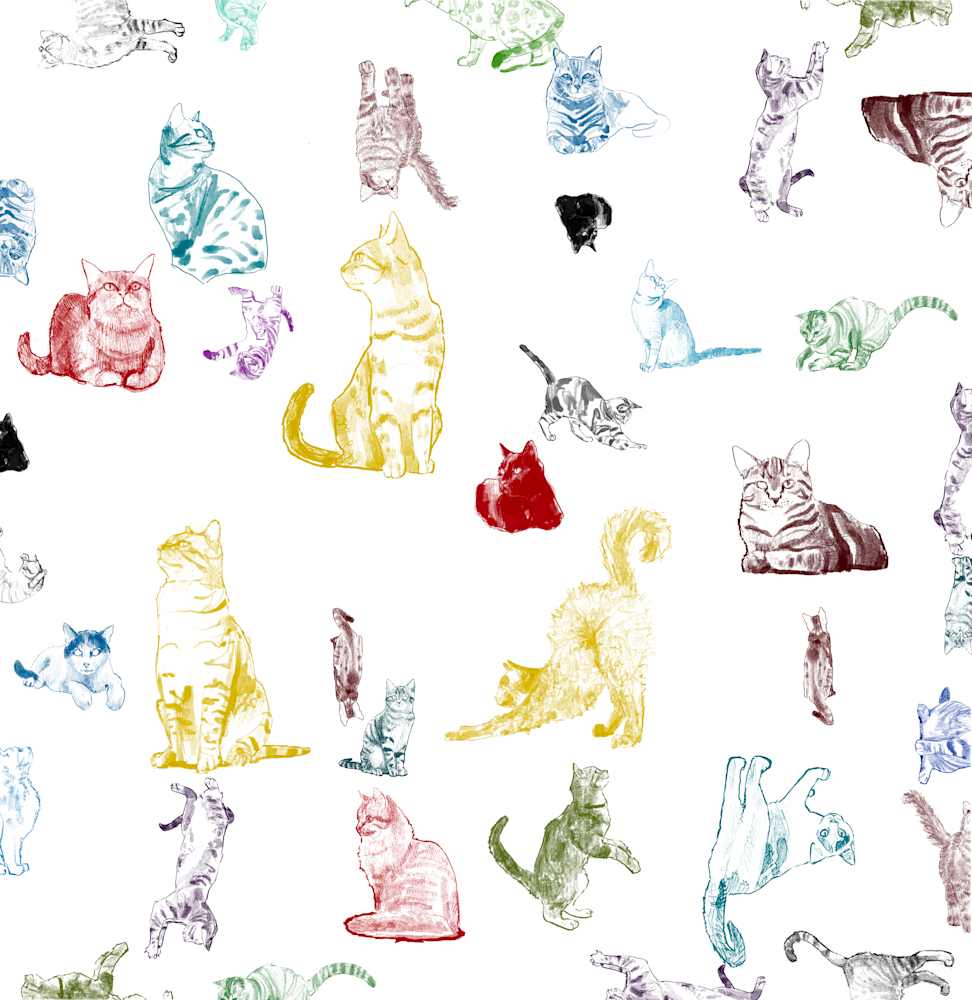 Cat and Tarot Art Prints