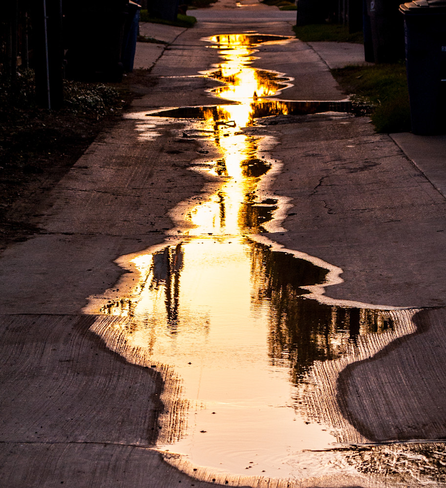 Puddle In My Alley Photography Art | Claudia F Coker Photography LLC
