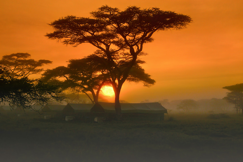 Harv Greenberg Photography - Serengeti Sunrise / Oxygen Series