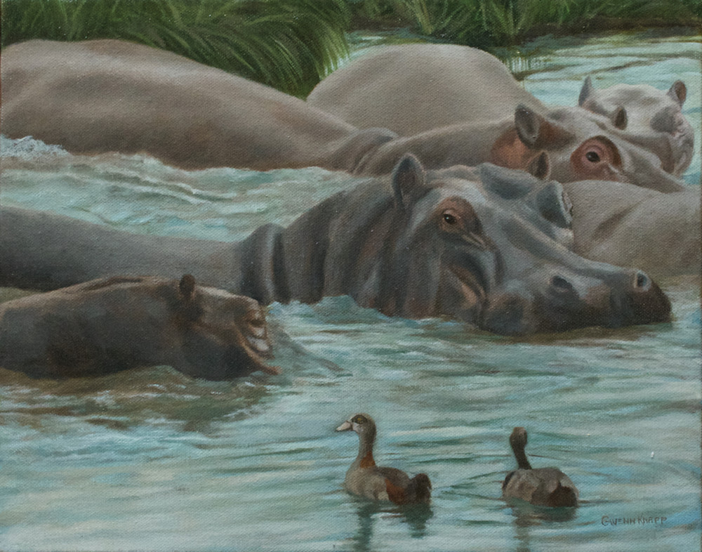 Bloat Of Hippos Art | Gwenn Knapp Artist