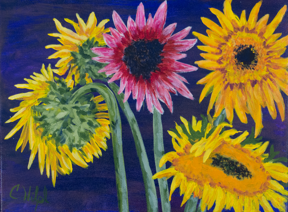 Colorful Sunflowers  Art | Chuck Hilpl Fine Art