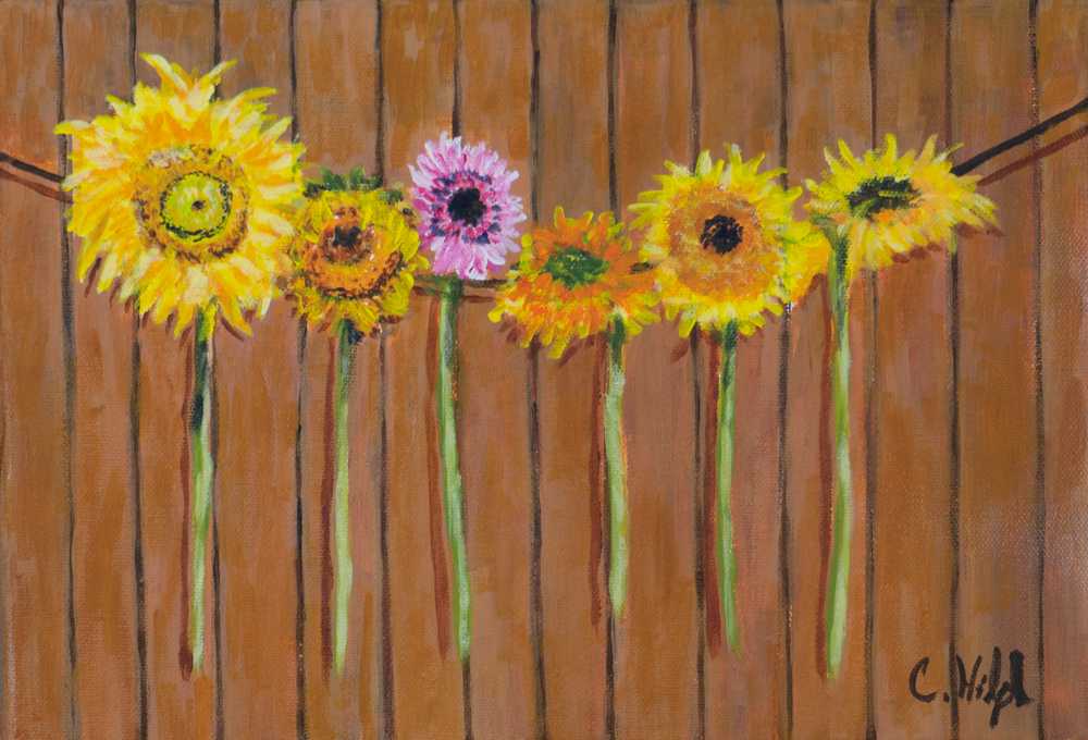 Sunflowers Hanging On Wire Art | Chuck Hilpl Fine Art