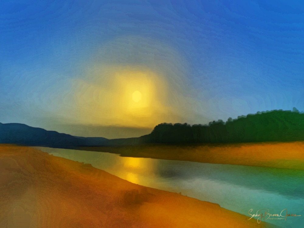 Shadow Of The Night Photography Art | Sandy Brown Jensen: I Dream in Gold