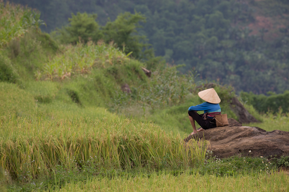 Vietnam Rice Fields Photography Art | Mark Gottlieb Images