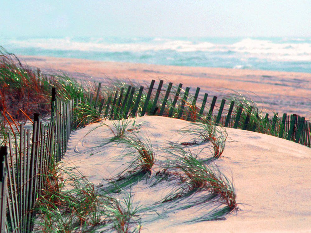 Wb002 18x24 Photography Art | The Artist With the Camera