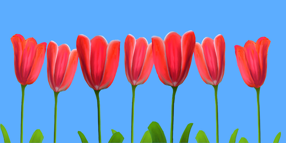 Seven Red Tulips Art | McHugh Fine  Art